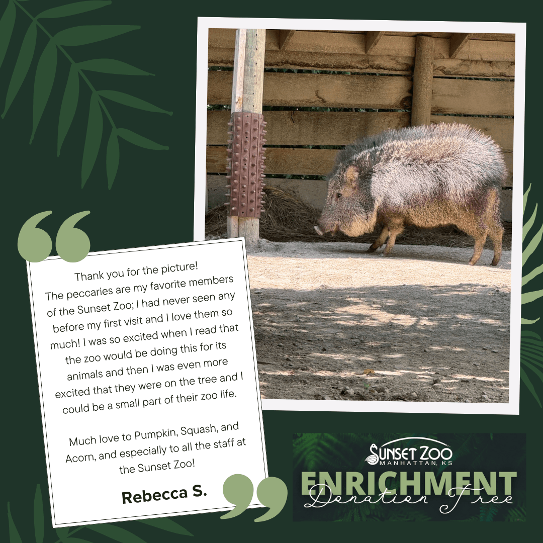 Donation Tree Purchase Review